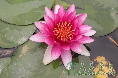 zhy_129@outlook.com 1.jpeg