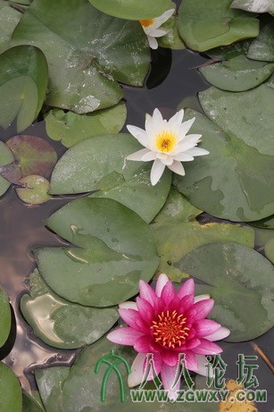 zhy_129@outlook.com 2.jpeg