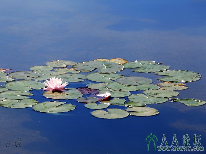 张继良 13641347740@163.com 1.jpg