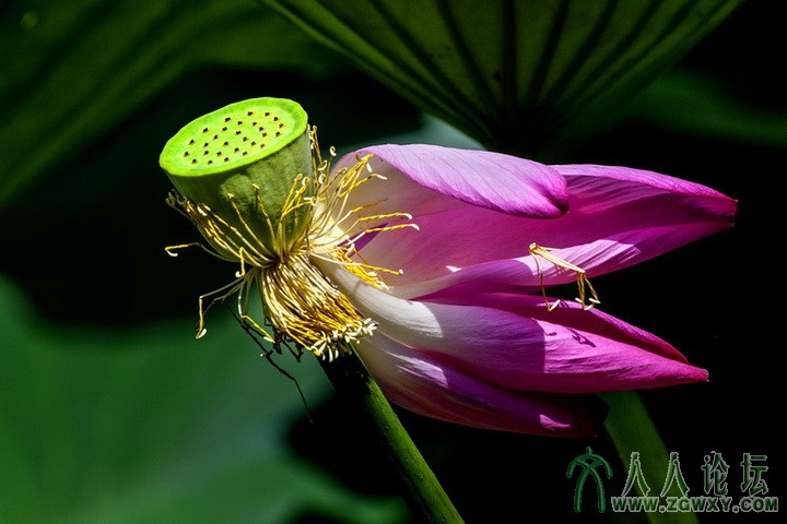 李治国—【飞 翔】—联系电话：13241955899.jpg