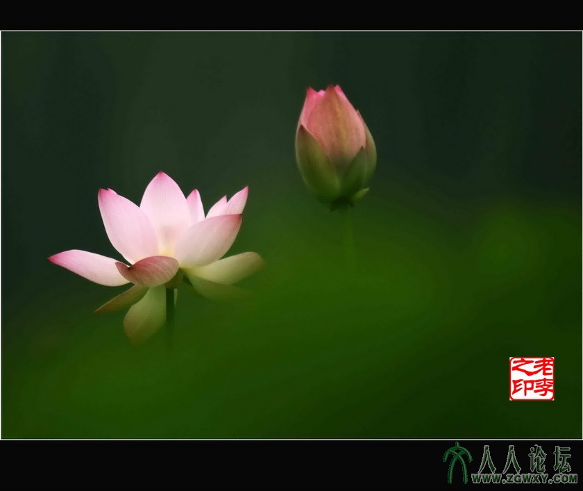 梦  李瑞廷13681234826.jpg