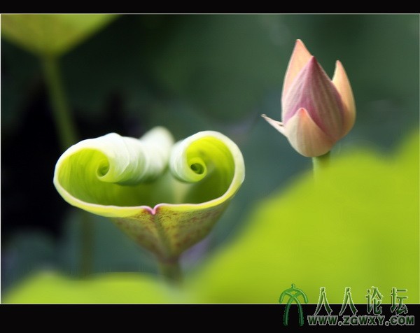 卫士  李瑞廷13681234826.jpg