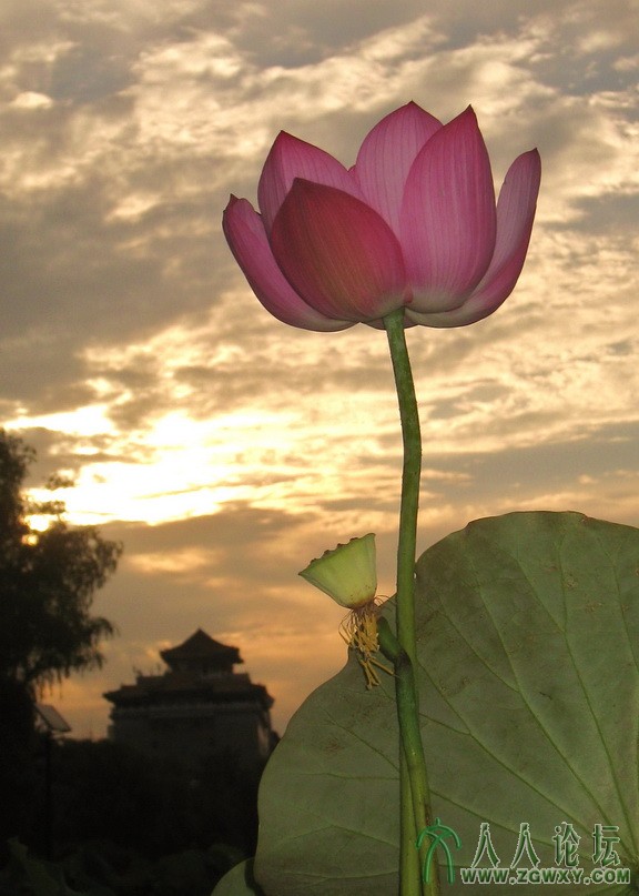 IMG_8617 - 副本.JPG