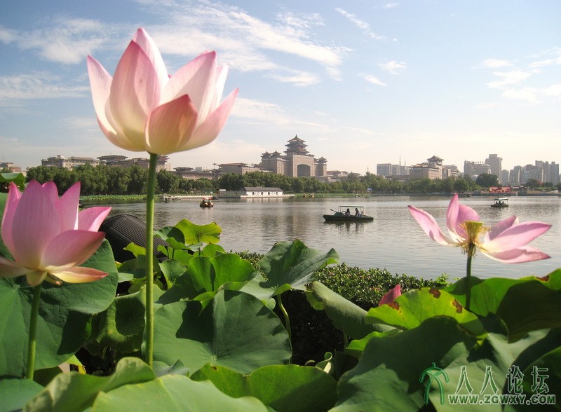 IMG_8708 - 副本.JPG