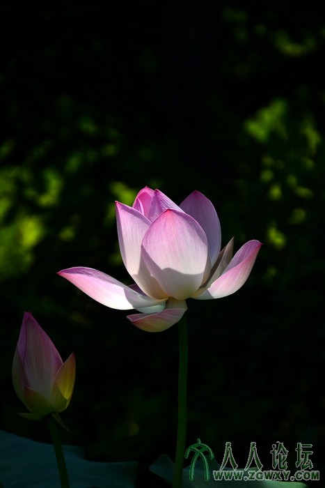 遇见美丽 (5).jpg