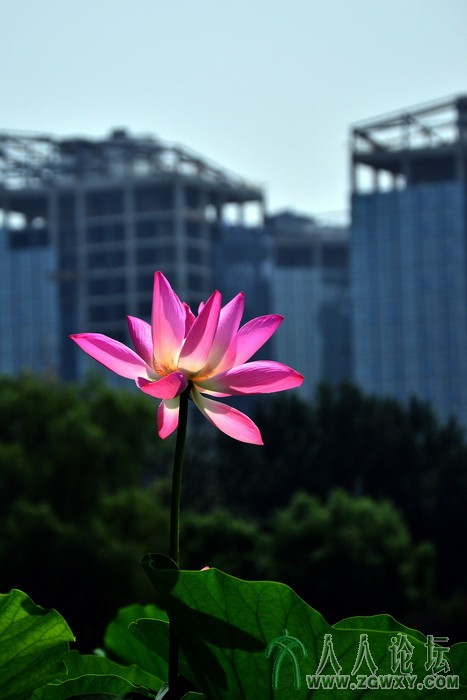 遇见美丽 (3).jpg