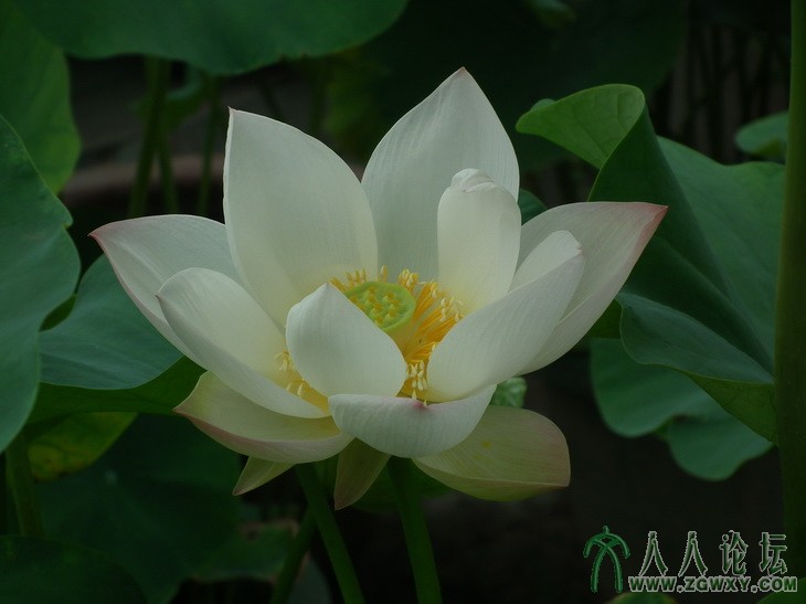 戴海平 dhp407@126.com 14.jpg