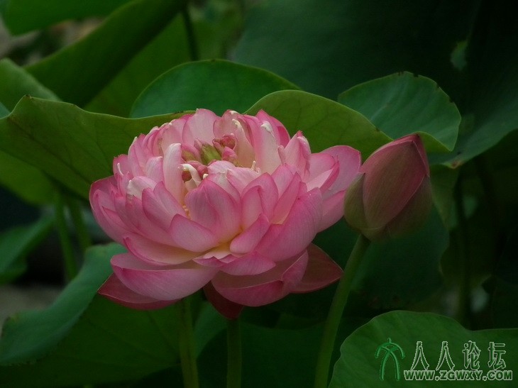 戴海平 dhp407@126.com 16.jpg