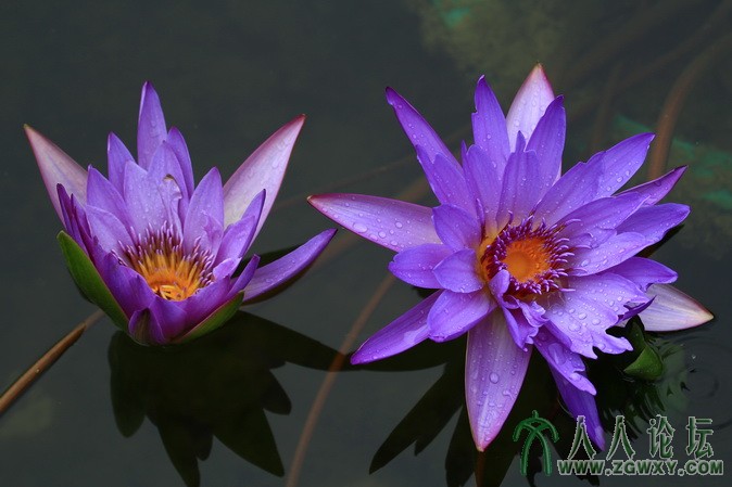 春和景明 2638254843@qq.com.jpg