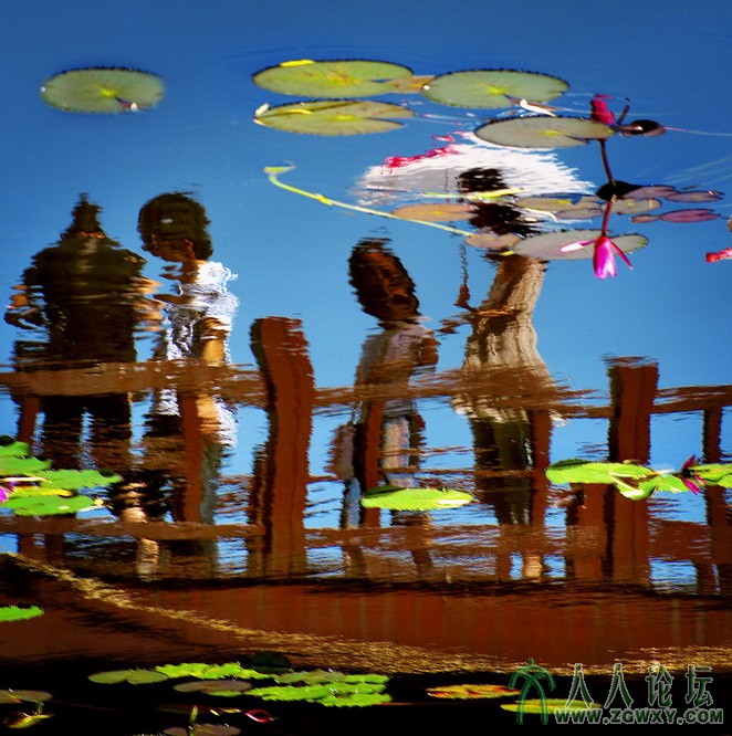 梦幻荷塘_缩小大小.jpg