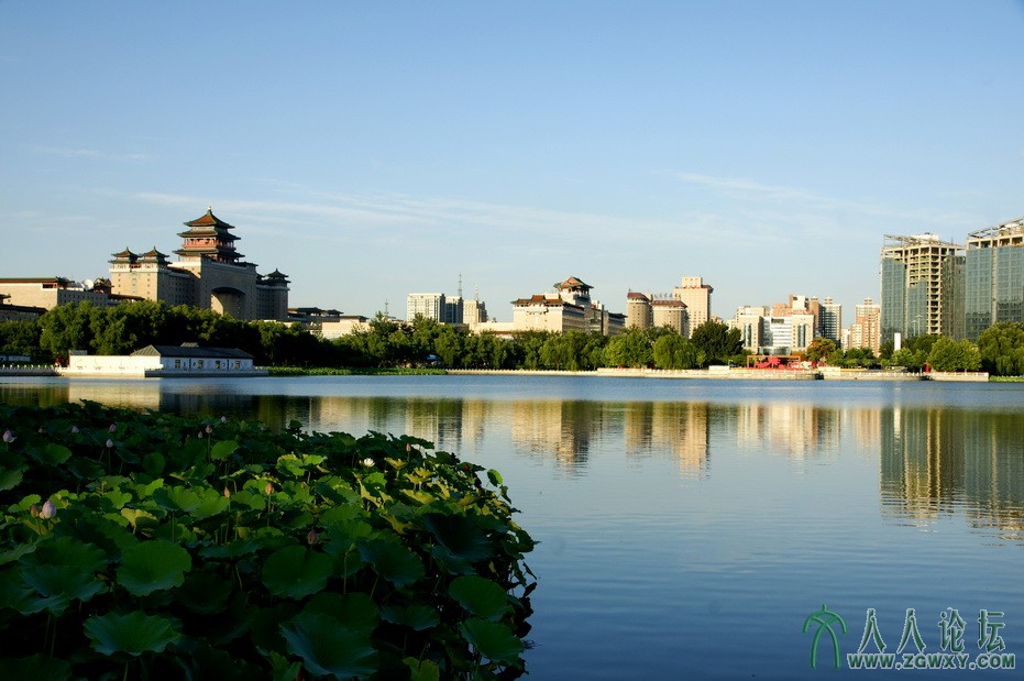 美丽的莲花池wangwenleilei@sina.com.jpg