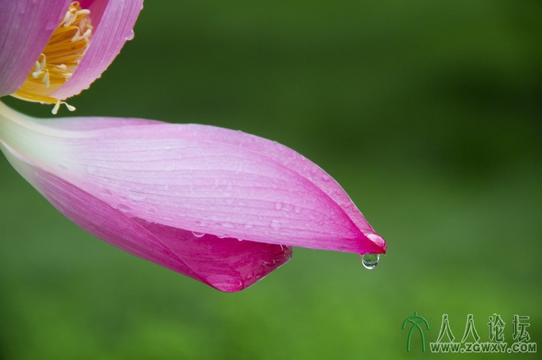 唐津艳  18601205184露.jpg