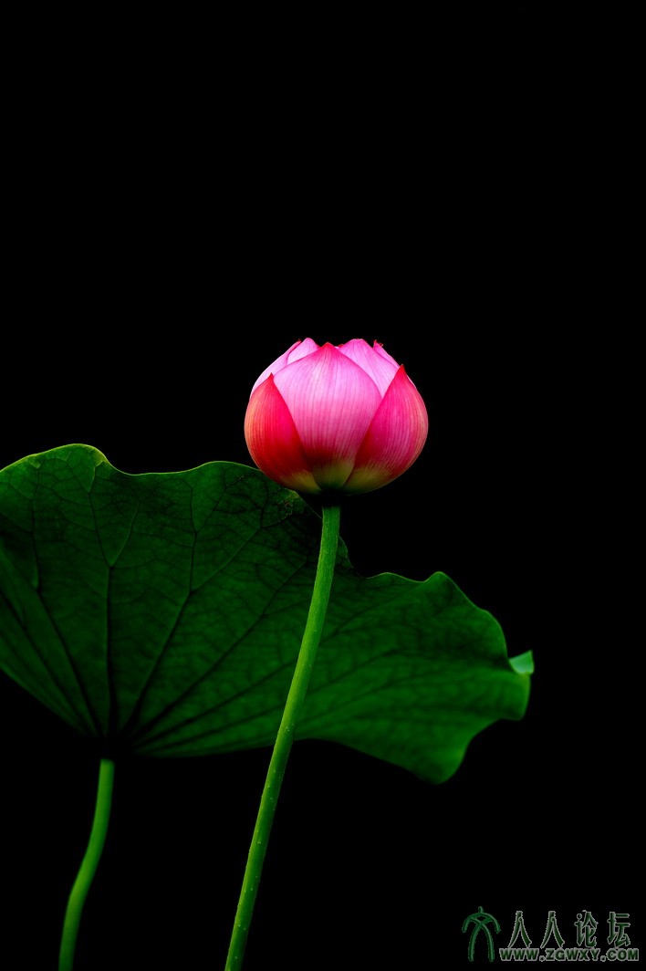 王路光 YOU YOU mmcc576206593@vip.qq.com.jpg