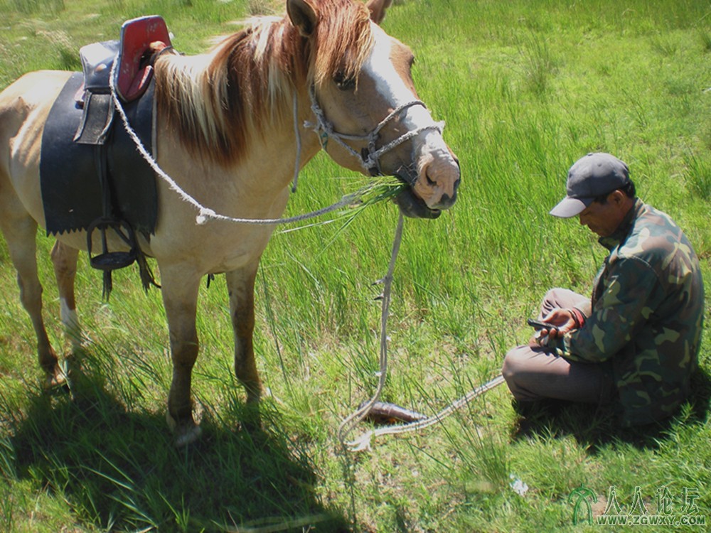 诗画配。题：发个短信写牵记。茫茫草原阳光灿，百里扬鞭牧马汉。席地而坐歇口气，发个.jpg