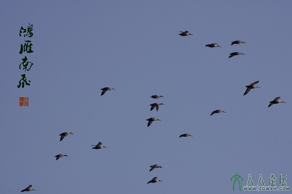 10，带着浓浓的亲情和期望，等待你的将会是什么？