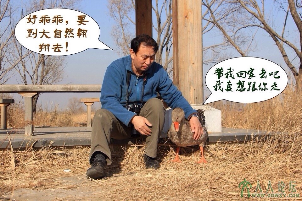 3，它用头颈轻轻地摩擦着我，想跟着我