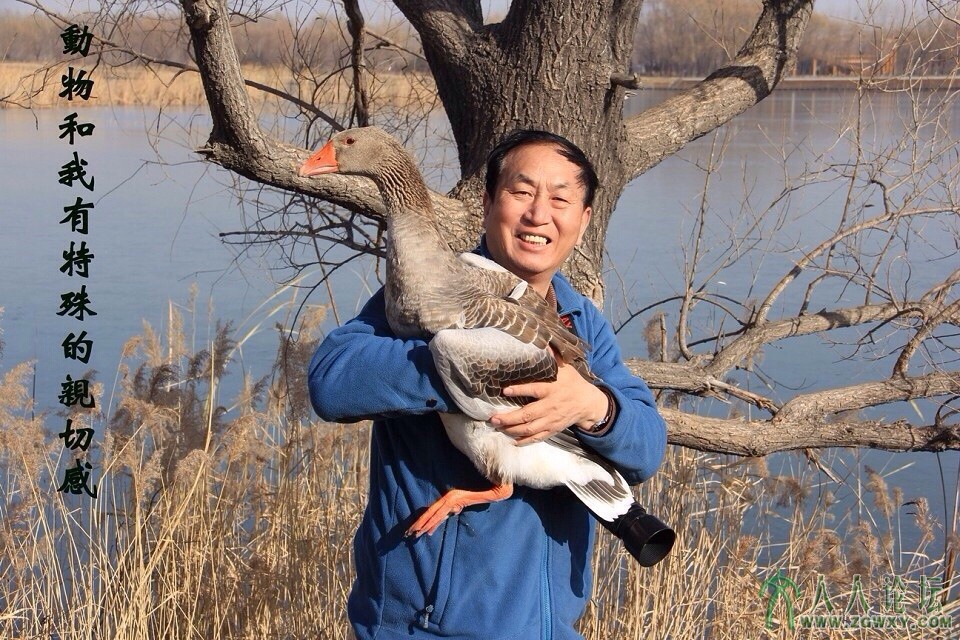 2，大雁过来和我亲热，我抱着它，它依偎在我怀里
