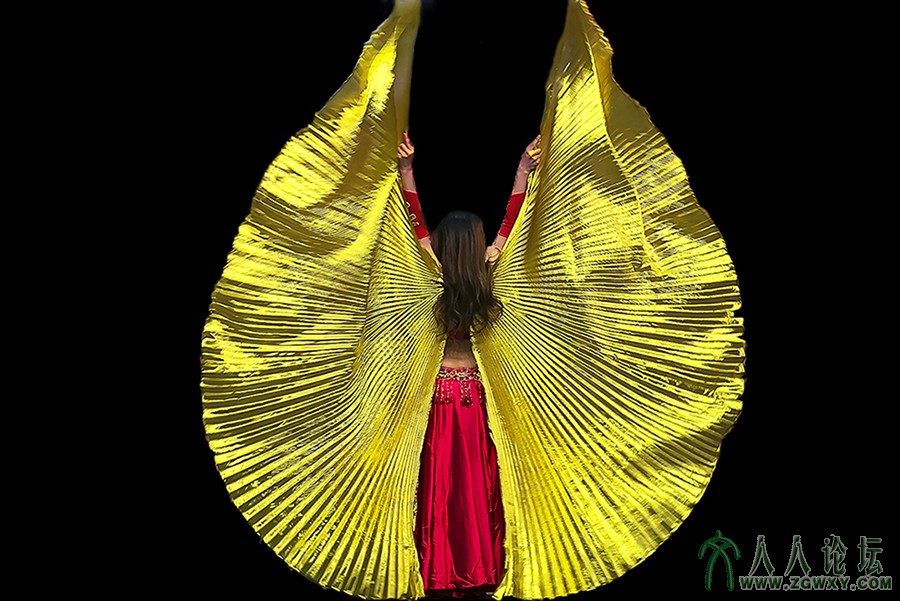 健美大赛 (8).jpg