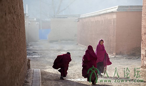 拉卜楞寺   (26).jpg