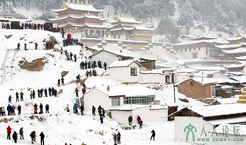 郎木寺 (1057).jpg