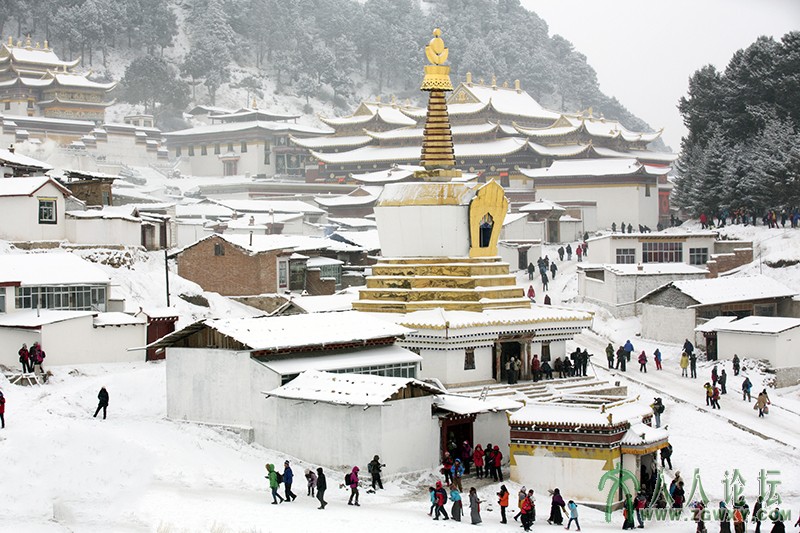 郎木寺 (1059).jpg