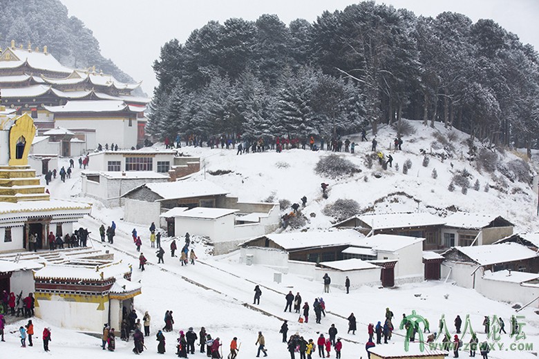 郎木寺 (1060).jpg