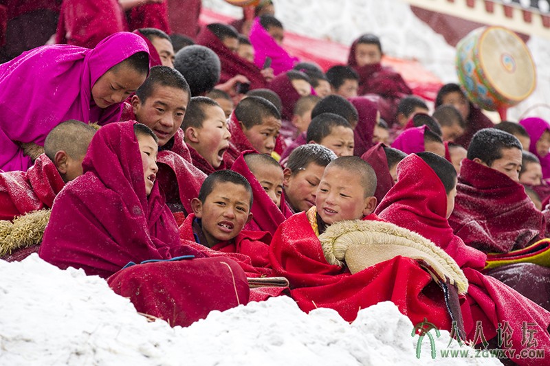 郎木寺 (1040).jpg
