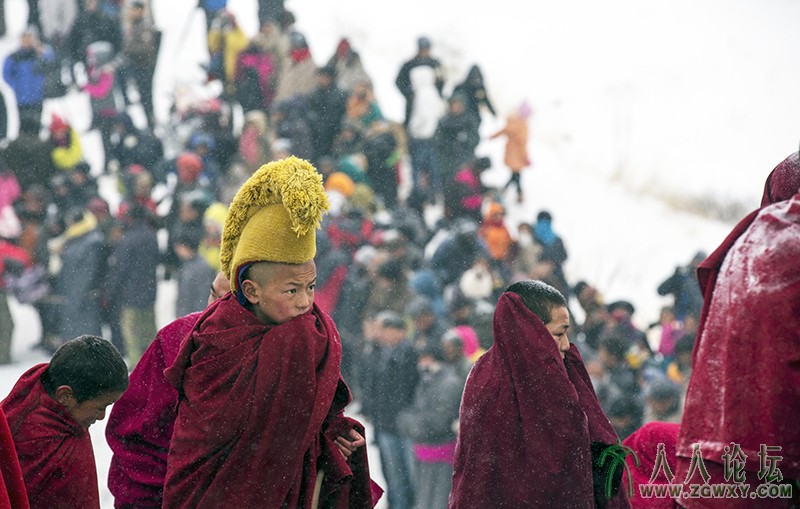 郎木寺 (1087).jpg