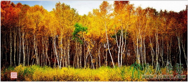 内蒙-乌兰布统（1） 112_副本.jpg