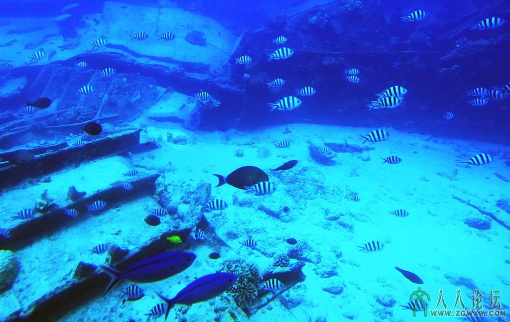 海底世界 (35).jpg