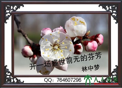 开一场盛世前无的芬芳-5.jpg