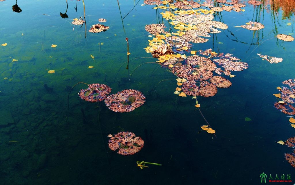 奥森 662.jpg1.jpg1.jpg