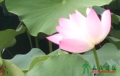 2015夏 承德避暑山庄