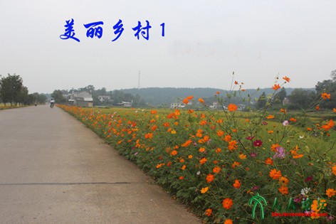 美丽的乡村111-1.jpg