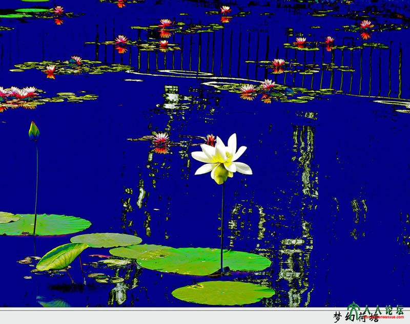 2015年7月拍摄于北京莲花池公园