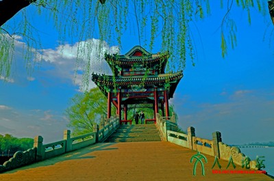 L1014181 (2)副本副本.jpg