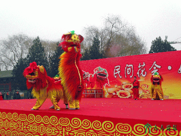 地坛庙会-舞狮2