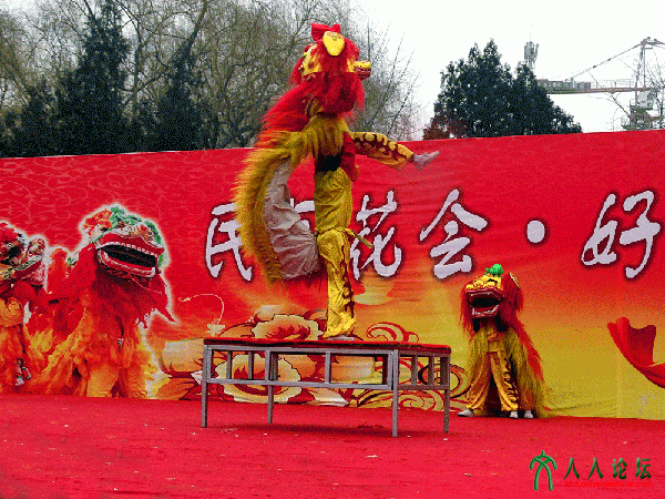 地坛庙会-舞狮3