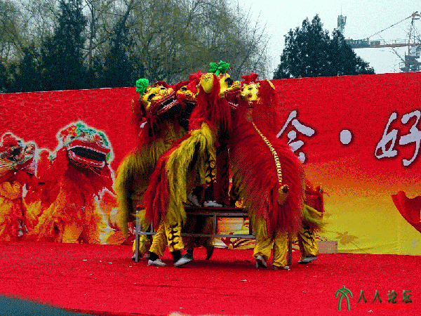 地坛庙会-舞狮4