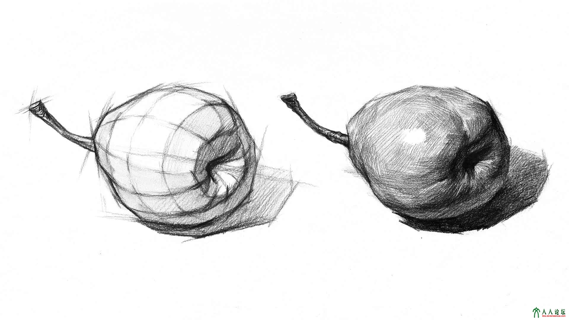 素描单体10.14    666.jpg