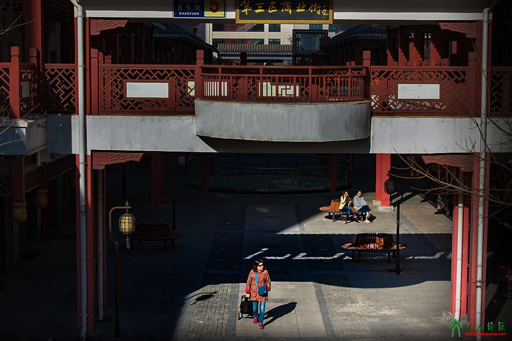 第三区秋色-1       作者张克禄电话15901397288.jpg