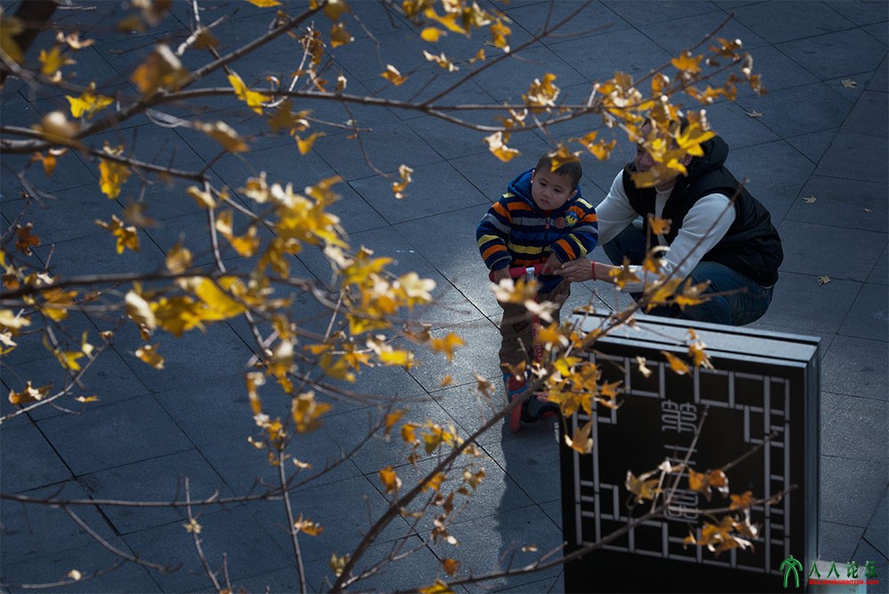 秋    -1                作者张克禄电话15901397288.jpg