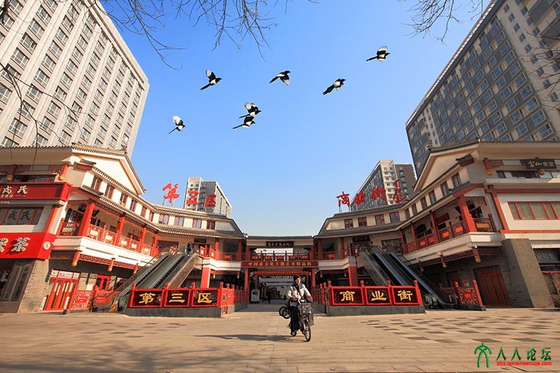 《喜到商街》商街之晨喜鹊当空，喜庆商街。