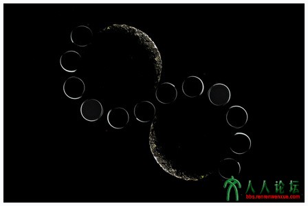 众星捧月茶具创意