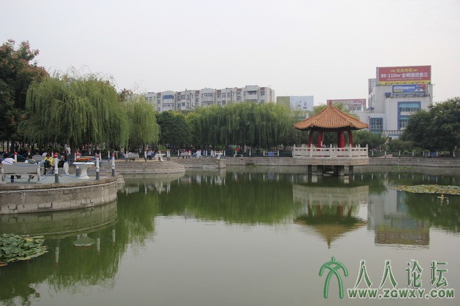 _MG_2866.JPG