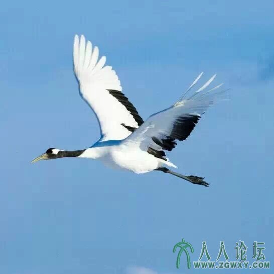 dEstDHbEKAAA&amp;ek=1&amp;kp=1&amp;pt=0&amp;bo=IgIhAgAAAAAFByc!&amp;su=027598737&amp;sce=0-1.jpg