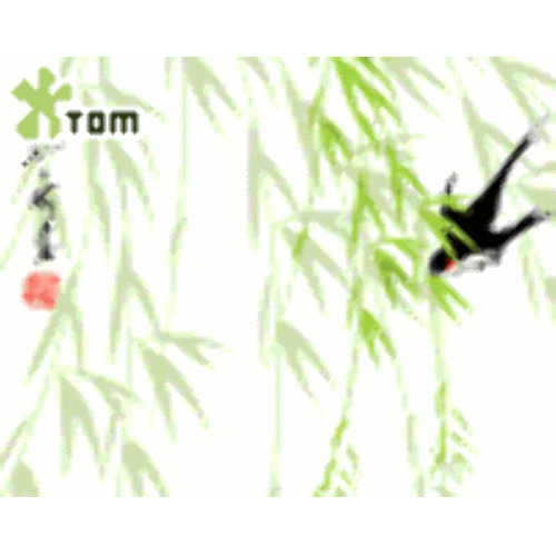 106789,500,500[1].gif
