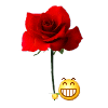 QQ图片20150217144451.gif
