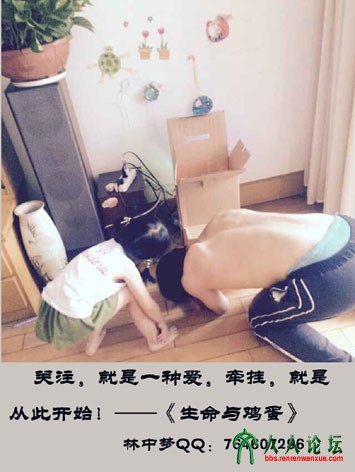 生命与鸡蛋系列20150615-5-5.jpg