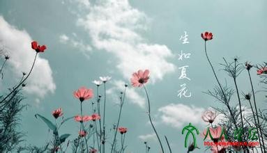 下载 (1).jpg